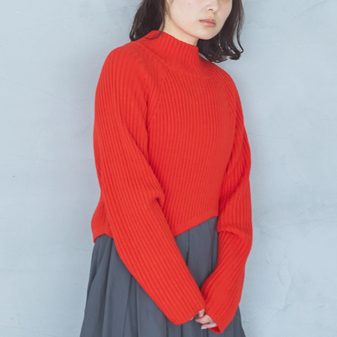 Balloon-style skirt (2025AW)