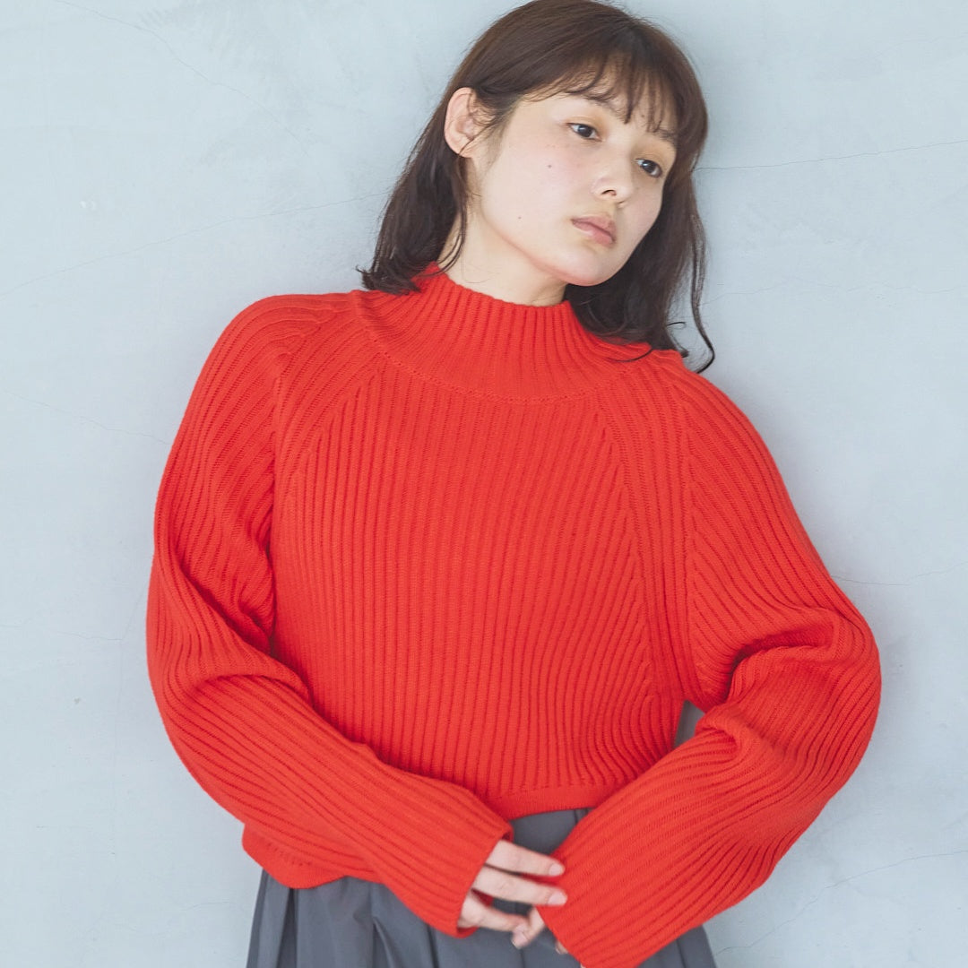 Balloon-style skirt (2025AW)