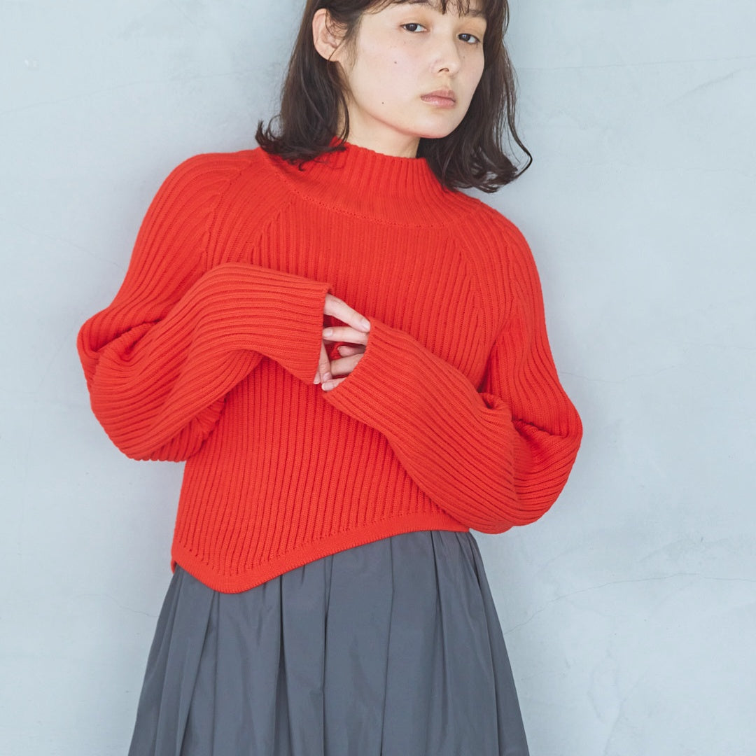 Balloon-style skirt (2025AW)