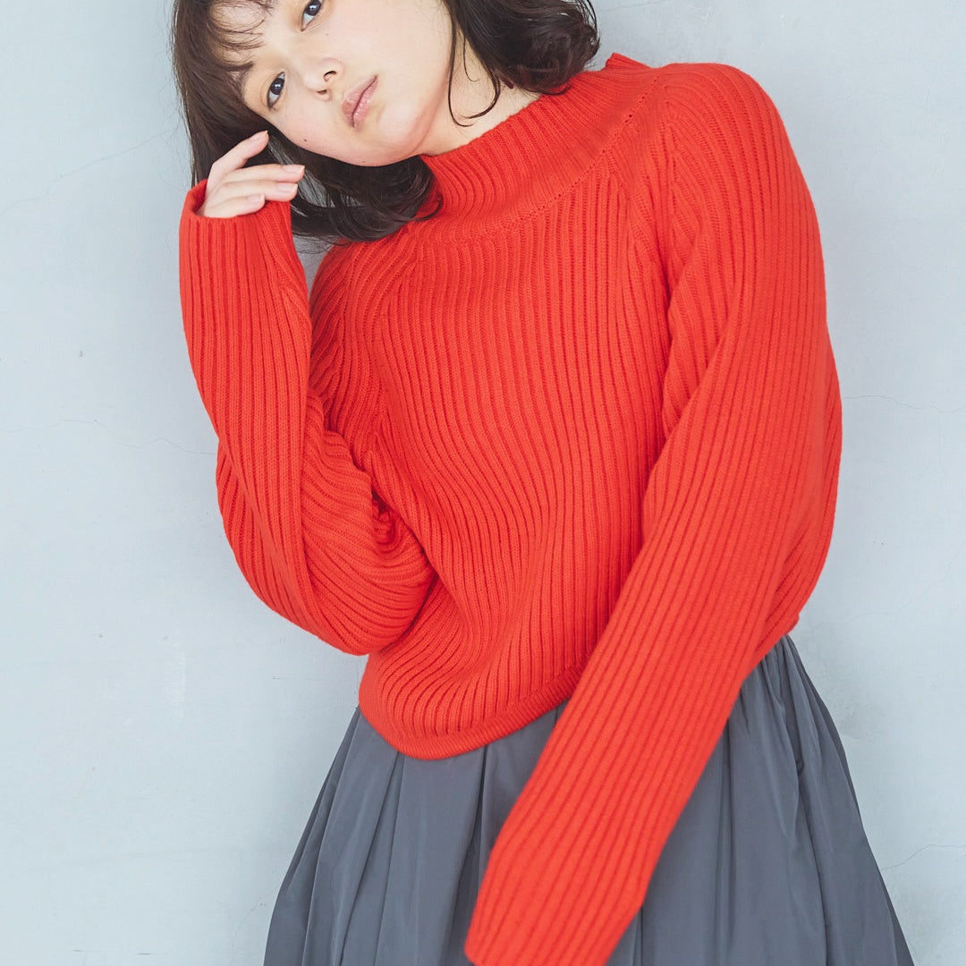 Balloon-style skirt (2025AW)